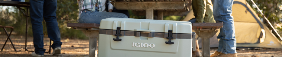 ¿Qué es una nevera térmica y cómo funciona?