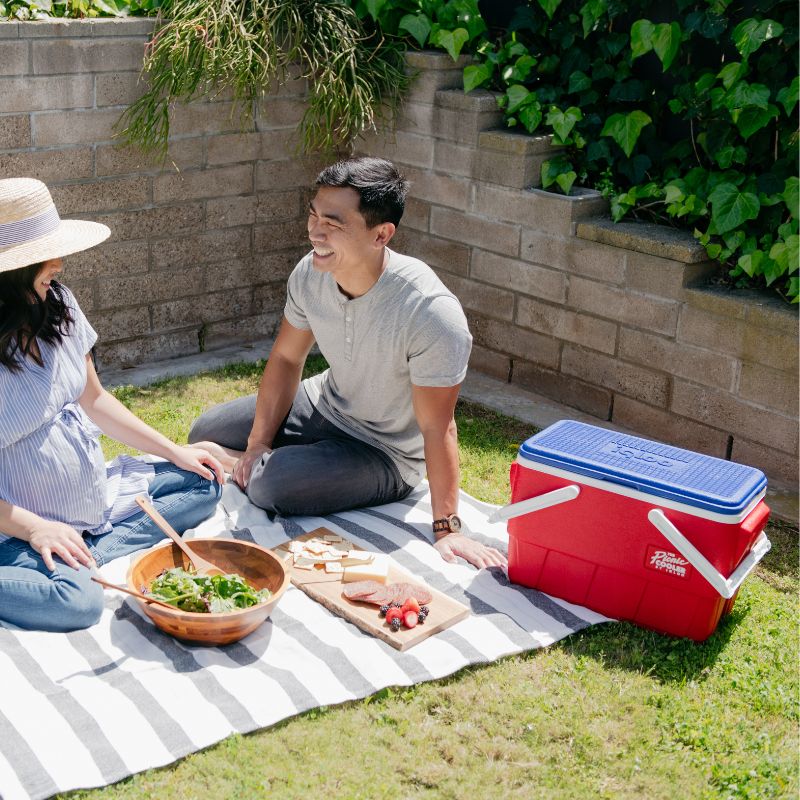 Guía completa sobre neveras para transportar alimentos: Todo lo que necesitas saber