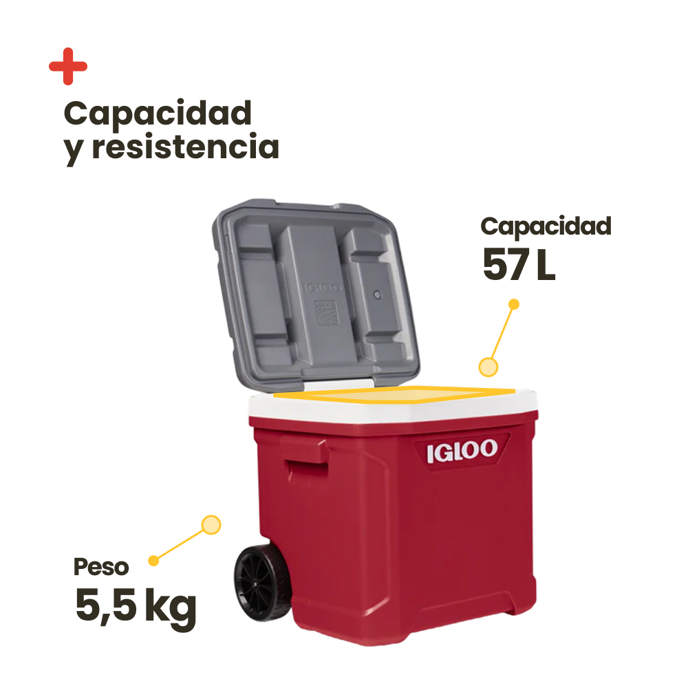 IGLOO LAGUNA 60 RED ROLLER