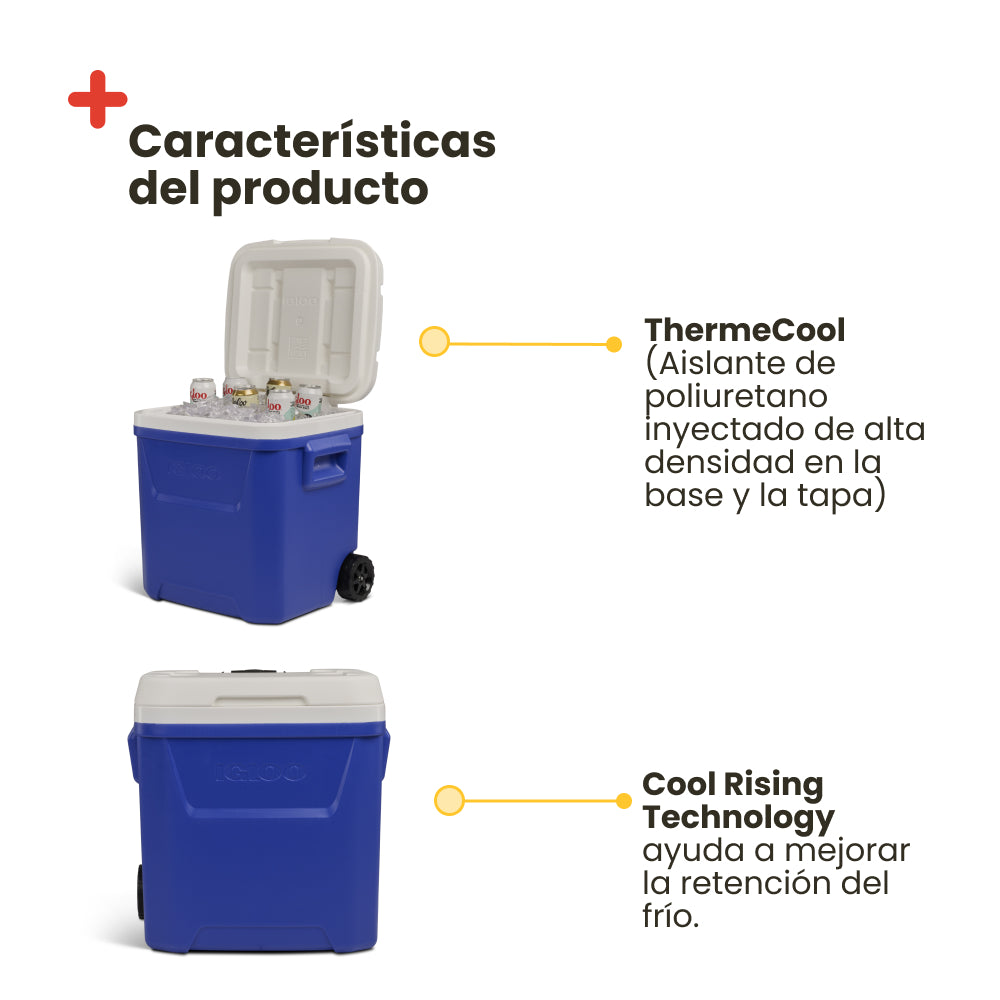 IGLOO LAGUNA 60 ROLLER BLEU