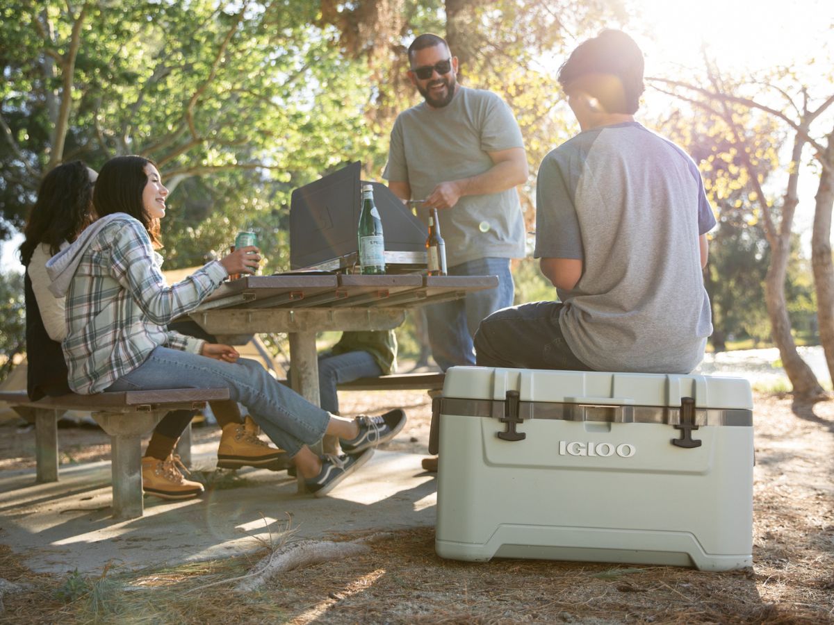 Top 5 sitios para acampar