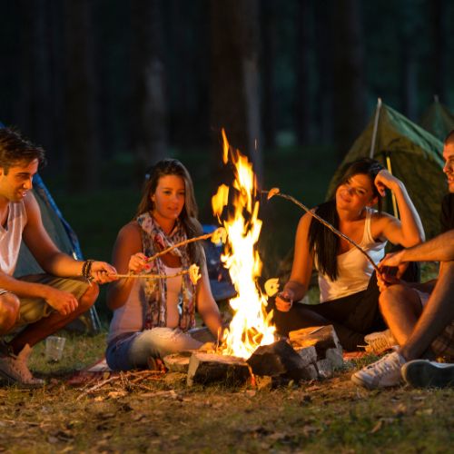 Cómo elegir la nevera portátil perfecta para irte de camping