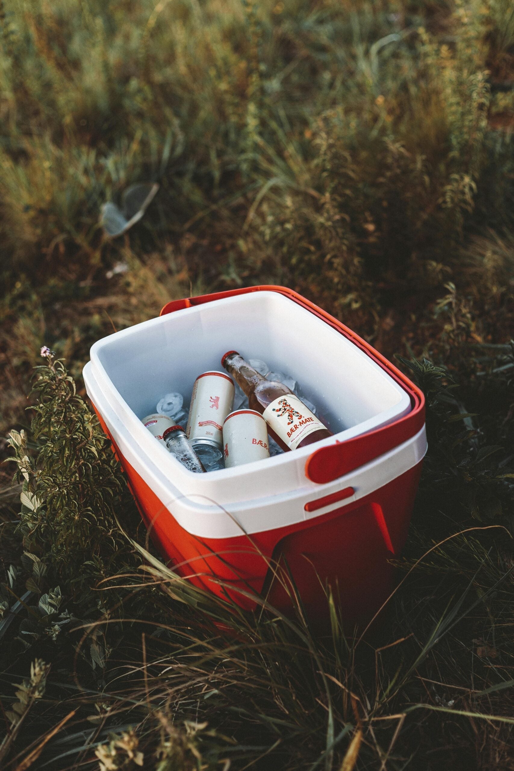 TRUCOS PARA MANTENER TUS ALIMENTOS FRIOS