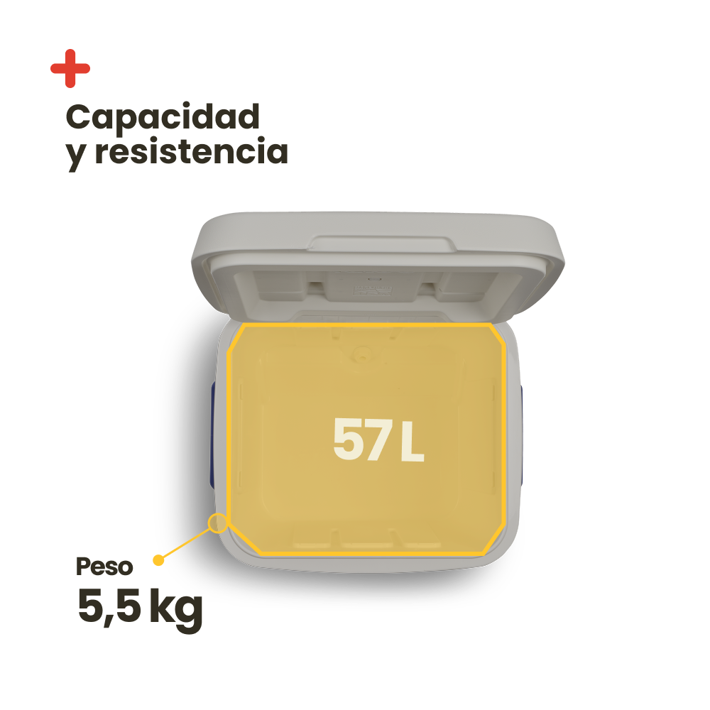 IGLOO LAGUNA 60 ROLLER BLEU