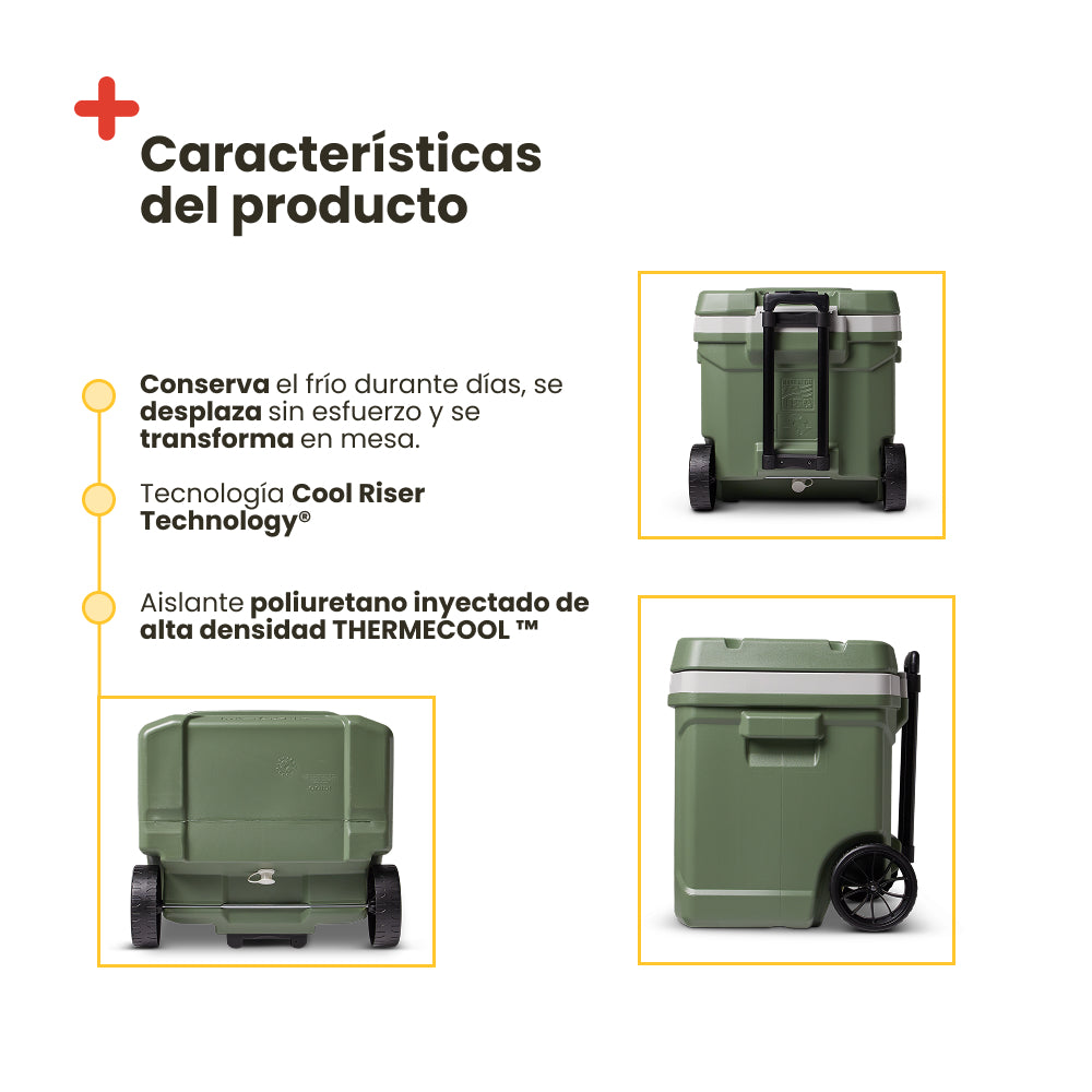 Glacière portable Igloo Profile 60 Ecocool avec roulettes