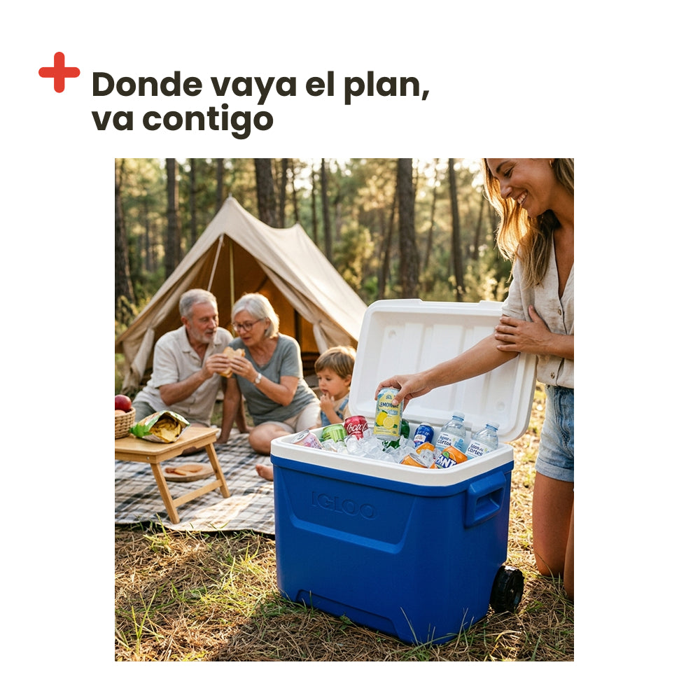 IGLOO LAGUNA 60 ROLLER BLEU