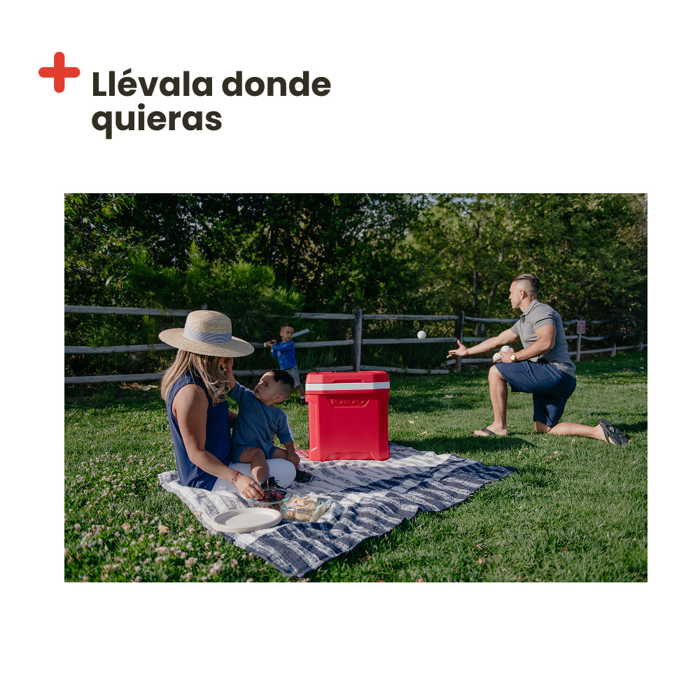 Glacière Igloo Profile Roller 60