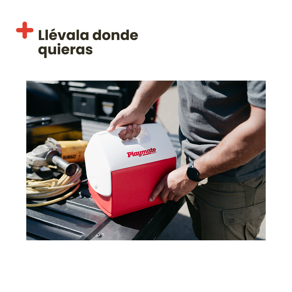 Glacière portable IGLOO PLAYMATE PAL rouge, 6 litres