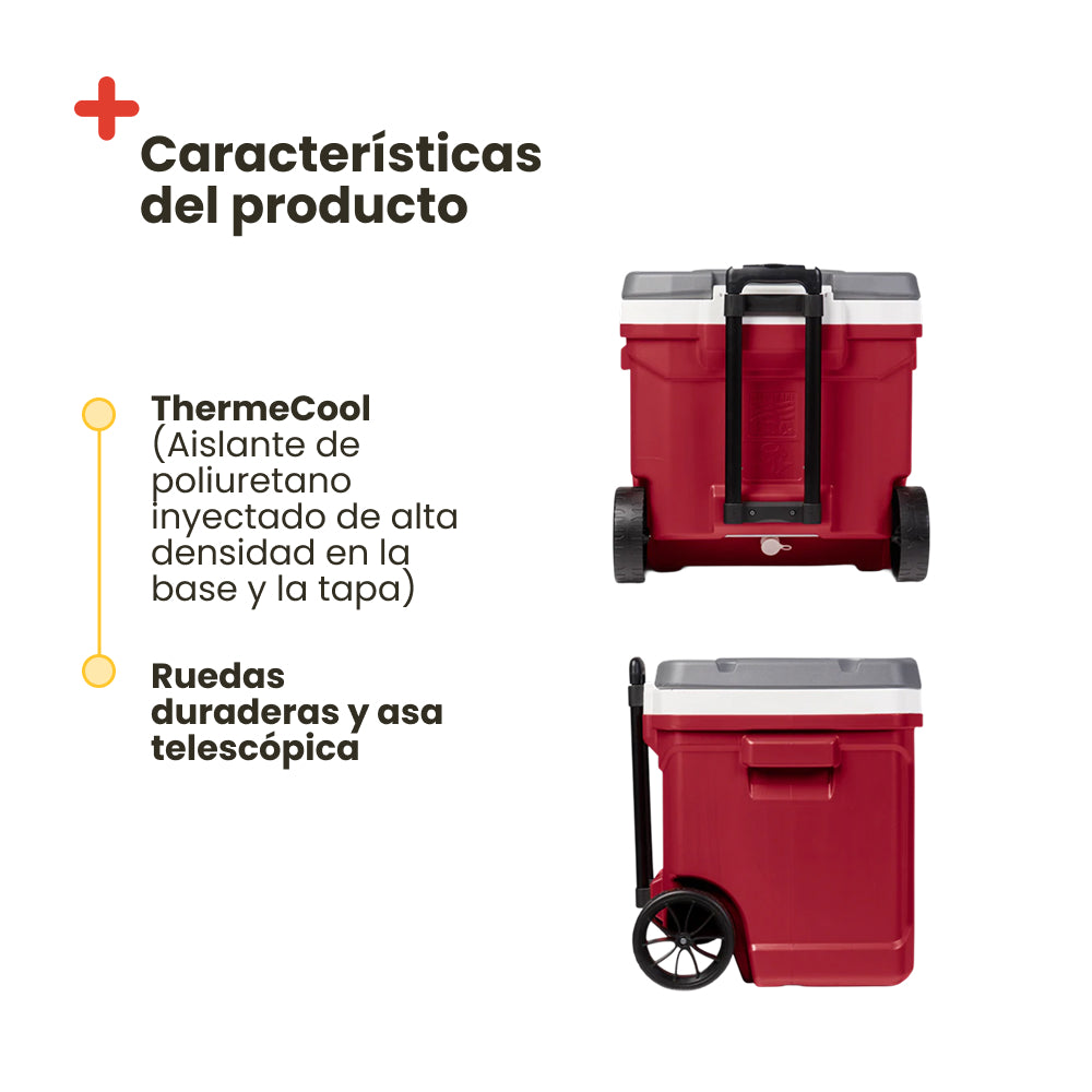 IGLOO LAGUNA 60 RED ROLLER