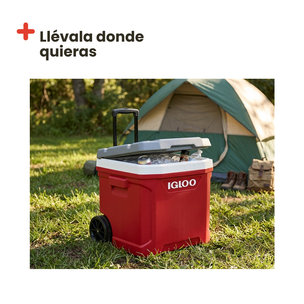 IGLOO LAGUNA 60 RED ROLLER