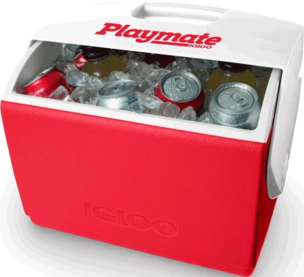 nevera playmate igloo 15L dentro