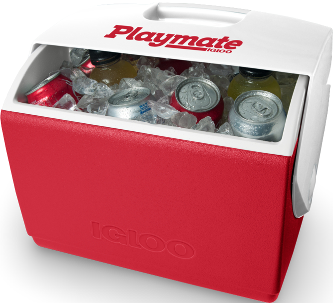 nevera playmate igloo 15L dentro
